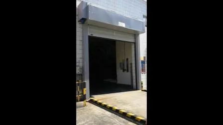 Galvanized Steel Panel Industrial Upward Sliding Overhead Sectional Doors Used for Factory/Cold Room/Warehouse/Garage Door